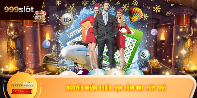 Nguyên nhân khiến bạn nằm mơ thấy chó